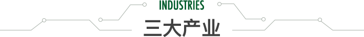 专注领域
