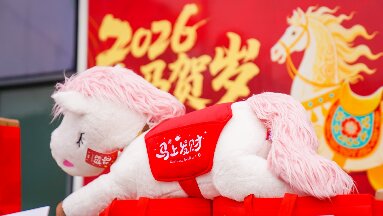 天啦噜电影完整版视频在线观看官方下载